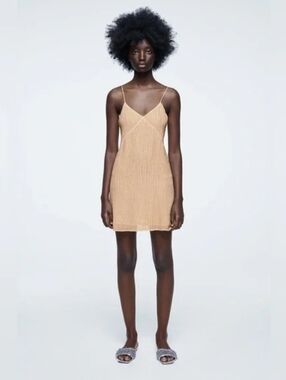 the beaded dress